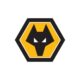 Wolverhampton Wanderers - Wolves FC